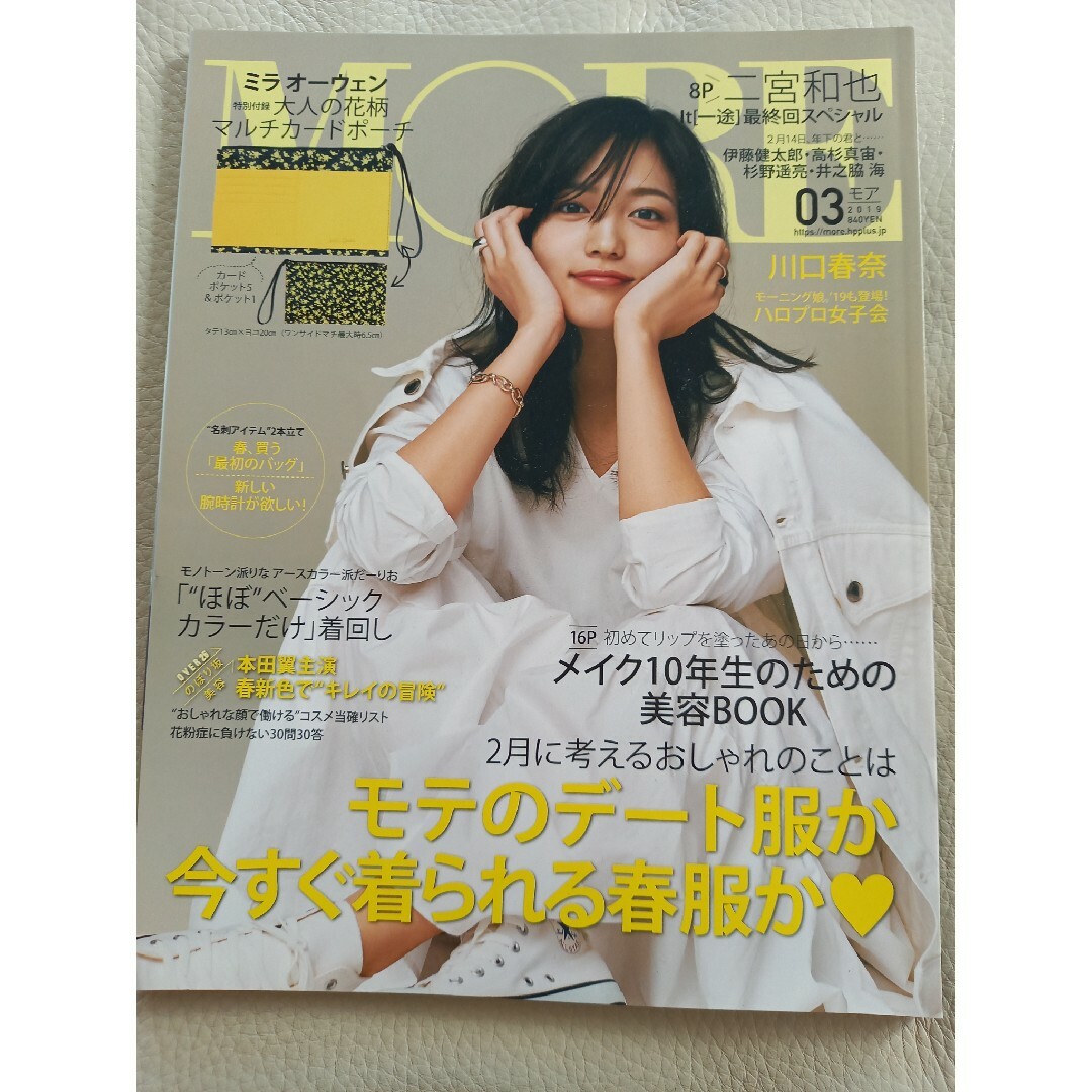 MORE 2019年3月 エンタメ/ホビーの雑誌(アート/エンタメ/ホビー)の商品写真