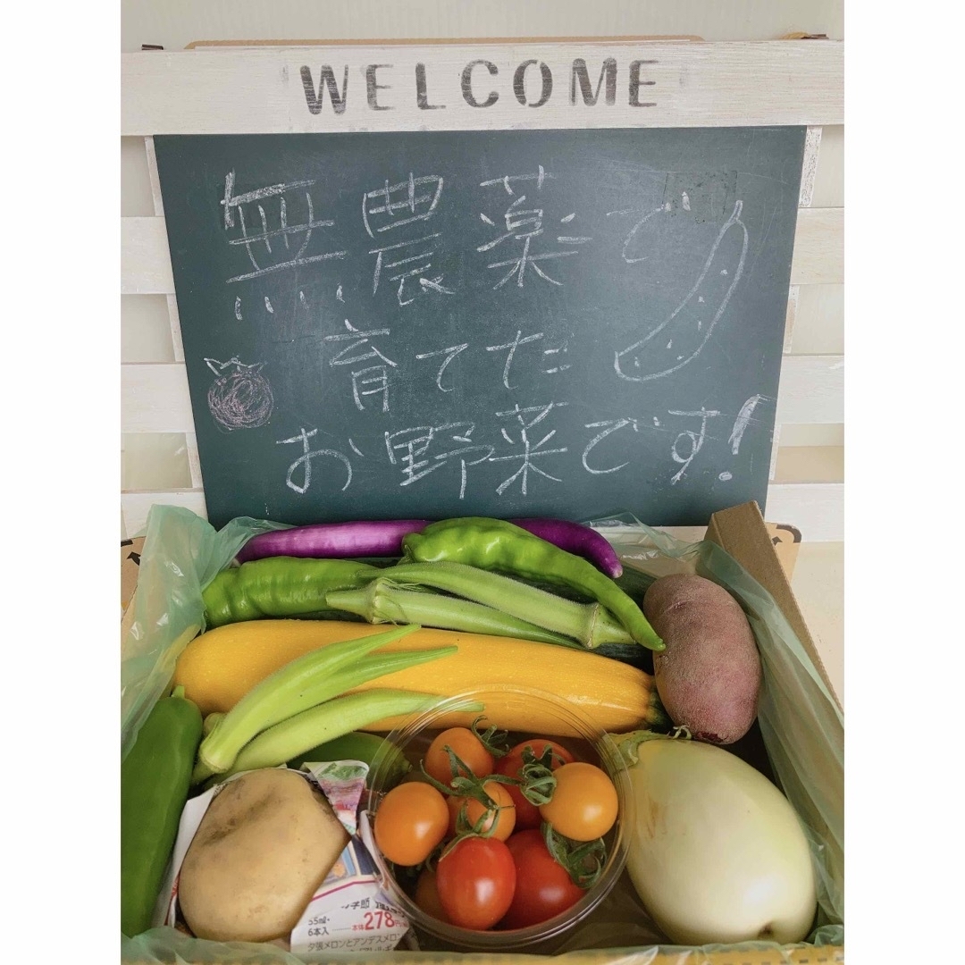 北海道産 季節の野菜セット詰め合わせ 食品/飲料/酒の食品(野菜)の商品写真