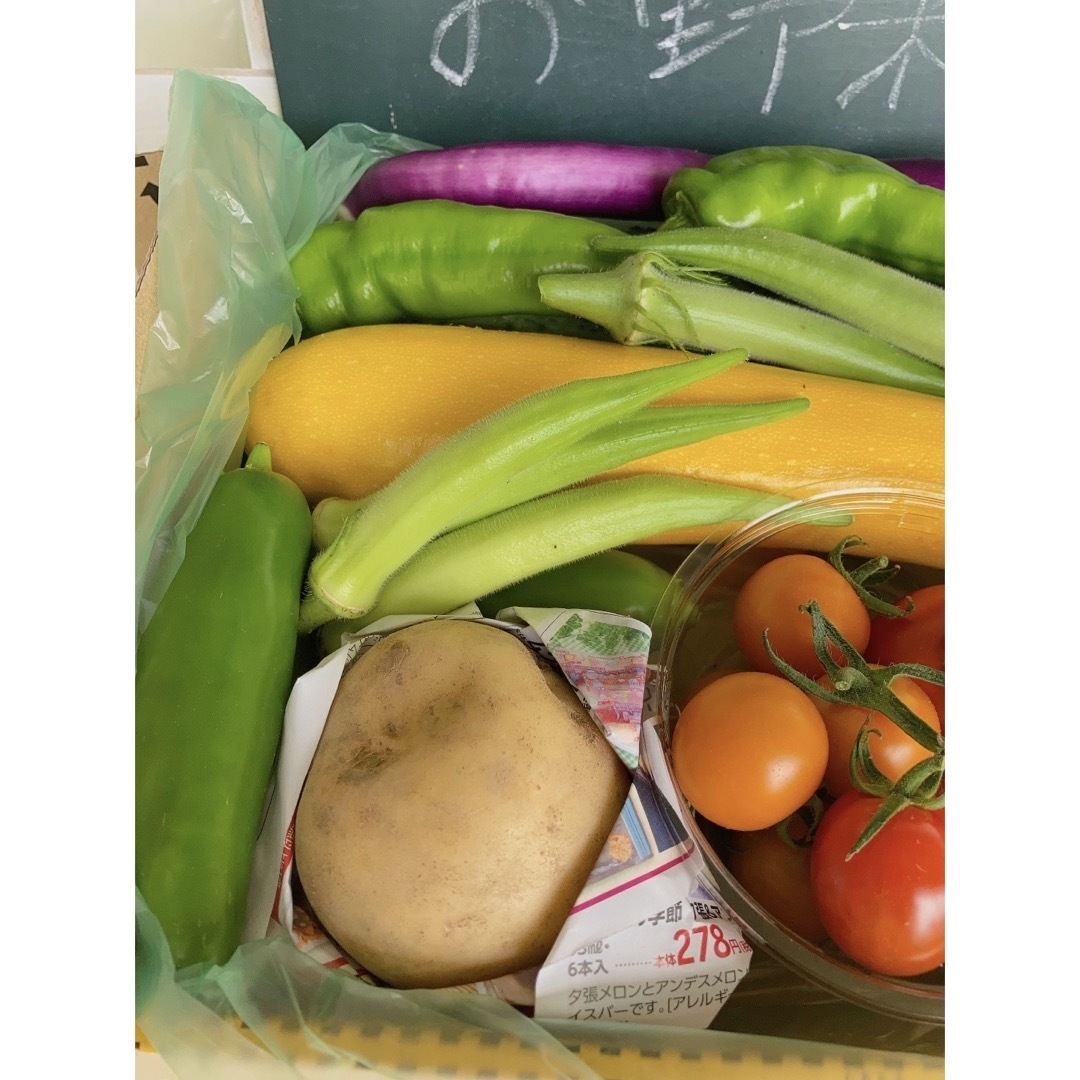 北海道産 季節の野菜セット詰め合わせ 食品/飲料/酒の食品(野菜)の商品写真