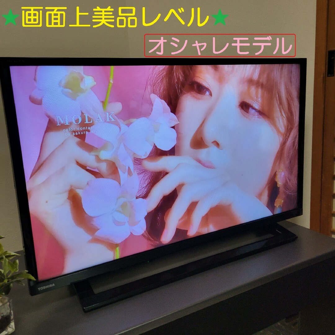 YouTube／Netflix／オシャレモデル東芝 REGZA 32型テレビ-