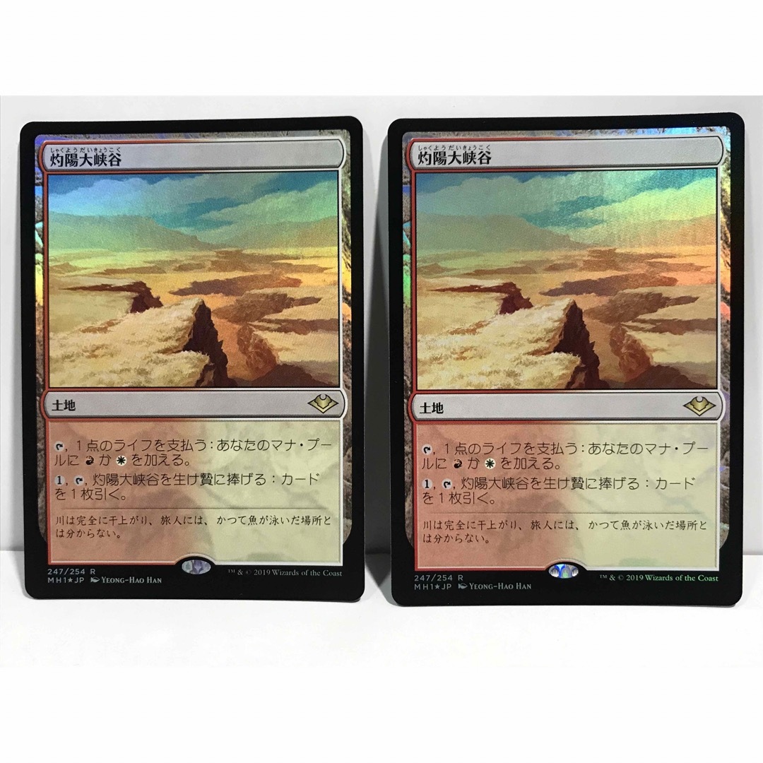 mtgモダンホライゾン(MH1)版FOIL「灼陽大峡谷」2枚セット