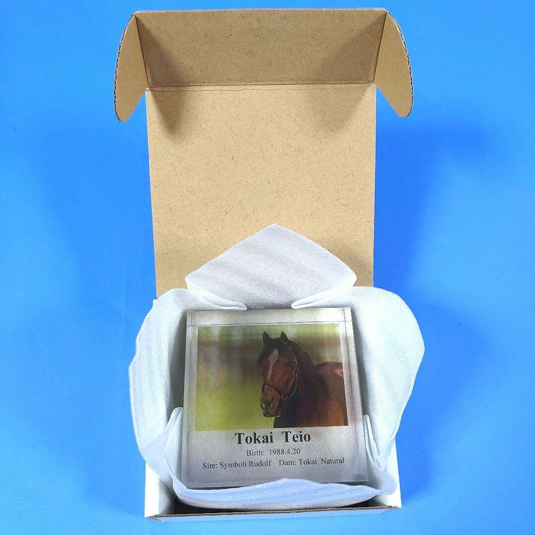 希少新品】アクリルオブジェトウカイテイオーウマ娘競馬ぬいぐるみ馬