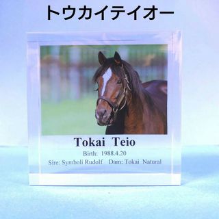 希少新品】アクリルオブジェトウカイテイオーウマ娘競馬ぬいぐるみ馬