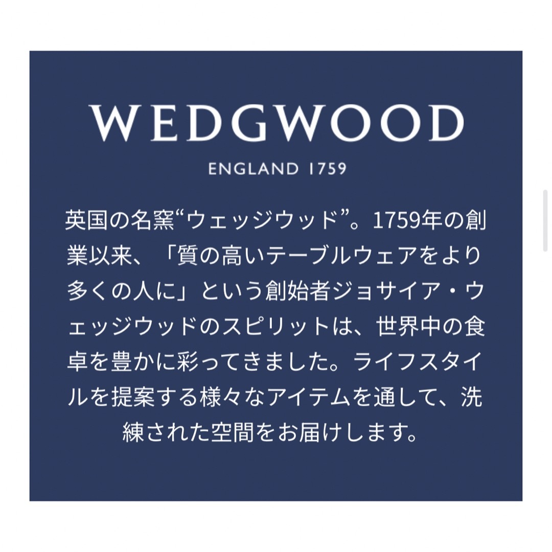 WEDGWOOD(ウェッジウッド)のドクターシーラボ x ウェッジウッド   スパバッグ レディースのファッション小物(ポーチ)の商品写真
