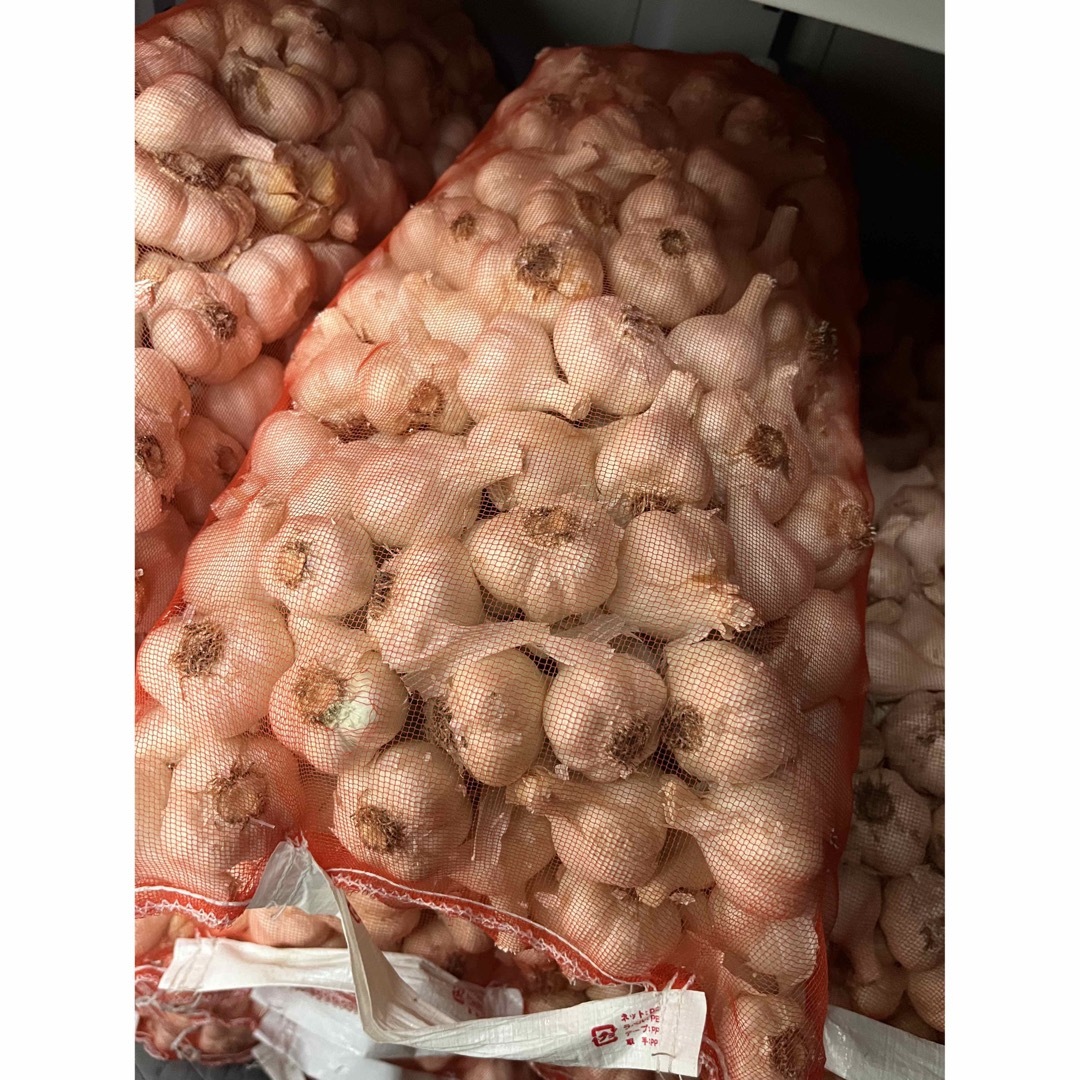 青森県産 にんにく 福地ホワイト六片 2L 10kg | www.phukettopteam.com