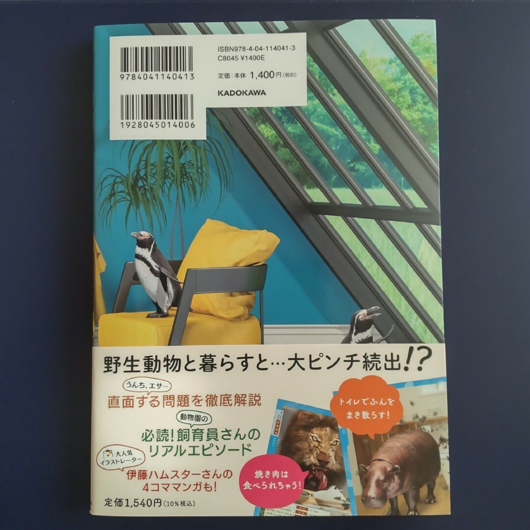 野生動物と暮らしてみたら ゾウとおさんぽソファにパンダ エンタメ/ホビーの本(絵本/児童書)の商品写真