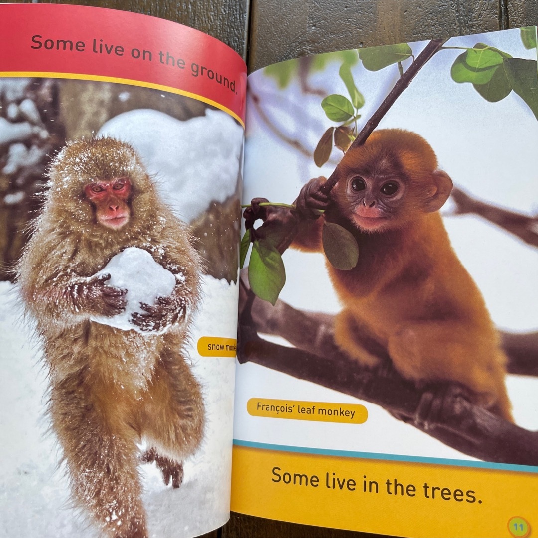 National Geographic Kids 全155冊セット 本 National Geographic Kids 全155冊セット 本