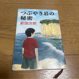 つぶやき岩の秘密(文学/小説)