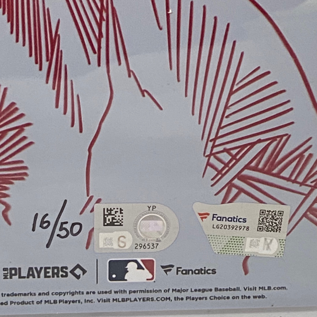 エンゼルス 大谷翔平 直筆サイン フォト MLB ホログラム付 世界50枚