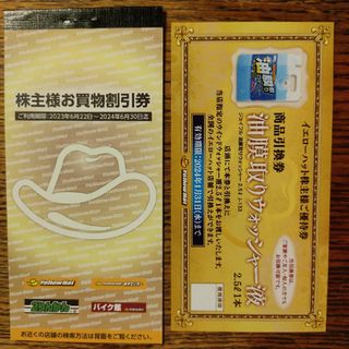 イエローハット 株主優待 お買物割引券 3000円分(ショッピング)