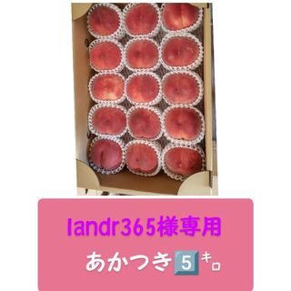 🍑landr365様専用🍑(フルーツ)