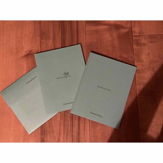 ティファニー(Tiffany & Co.)のティファニー　BELIEVE IN LOVE 指輪 カタログ紙袋　2018.12(リング(指輪))