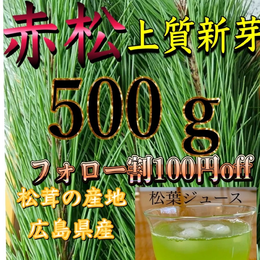 上質松葉 新芽、赤松、やわらか樹液たっぷり 松の葉、500㌘広島県産 食品/飲料/酒の食品(野菜)の商品写真