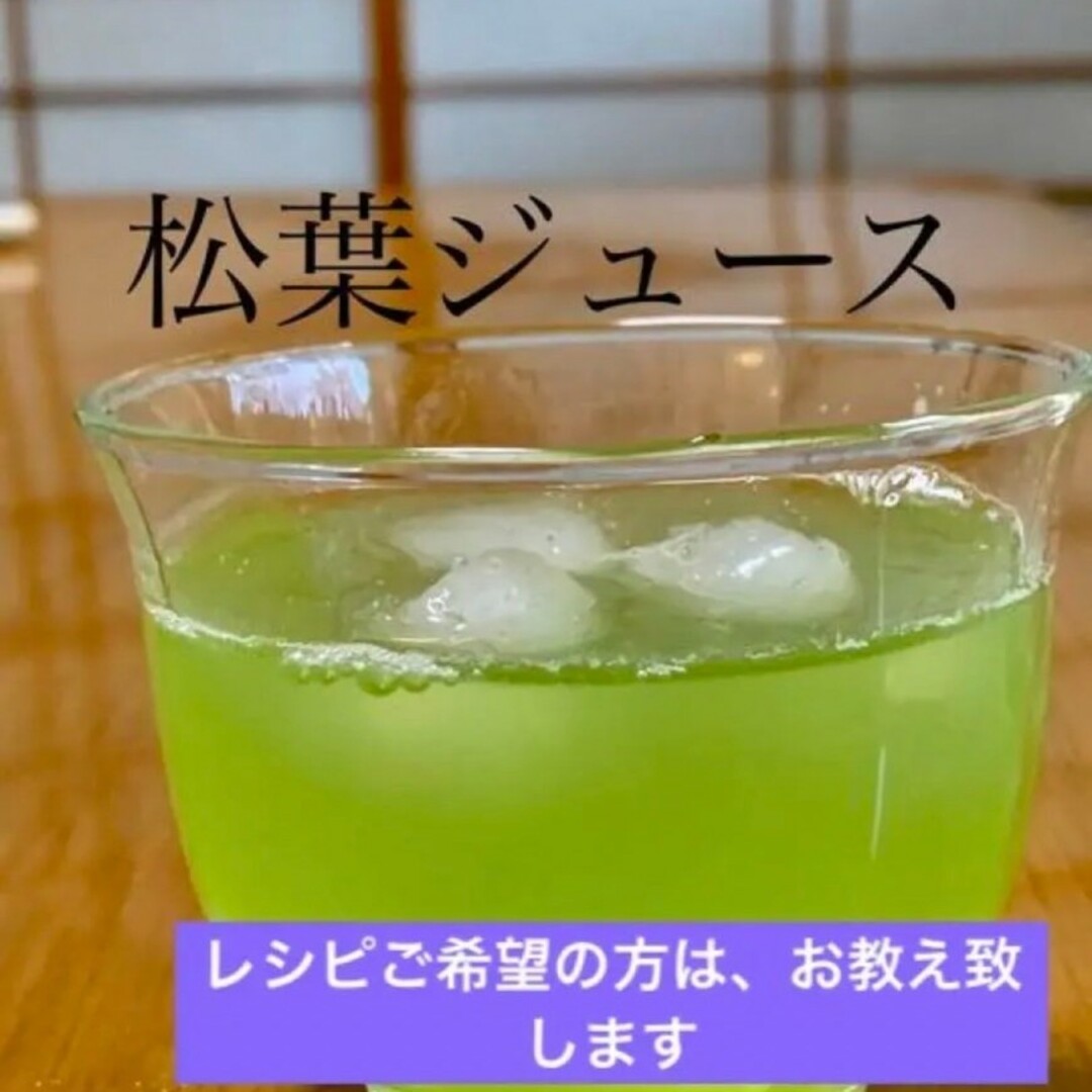 上質松葉 新芽、赤松、やわらか樹液たっぷり 松の葉、500㌘広島県産 食品/飲料/酒の食品(野菜)の商品写真