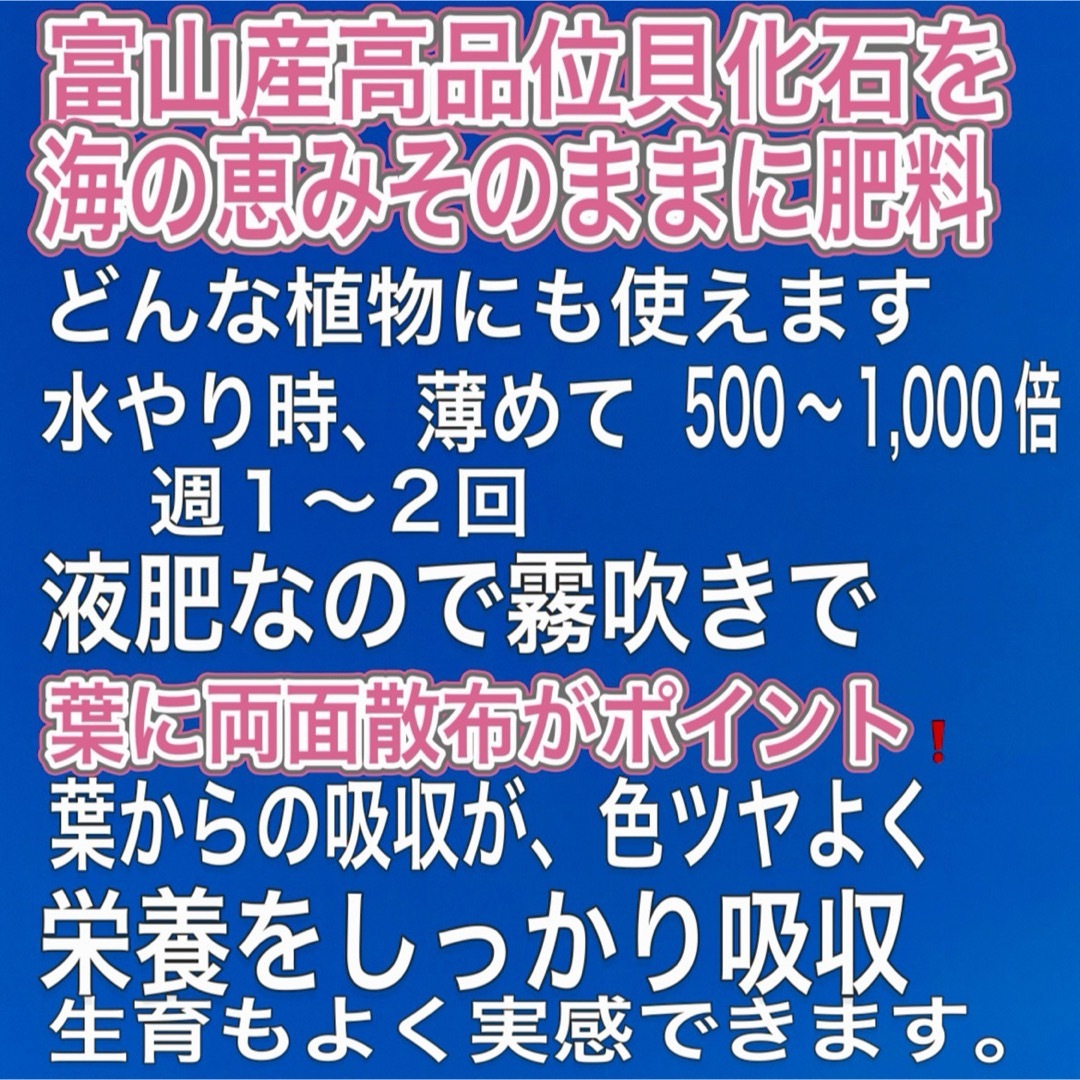 ハーブ　ミント　土　New オリジナルハーブ用土　育ちが違う　植え付け　植え替え ハンドメイドのフラワー/ガーデン(その他)の商品写真