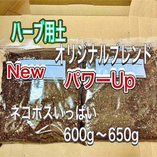 ハーブ　ミント　土　New オリジナルハーブ用土　育ちが違う　植え付け　植え替え(その他)