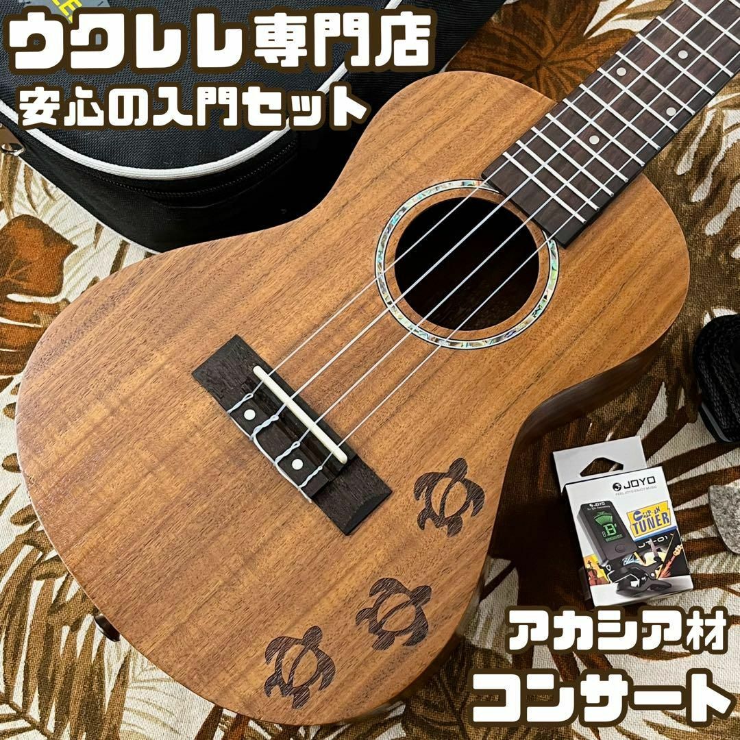 アカシア材】Kalaneのホヌ模様・コンサートウクレレ【ウクレレ専門店】-
