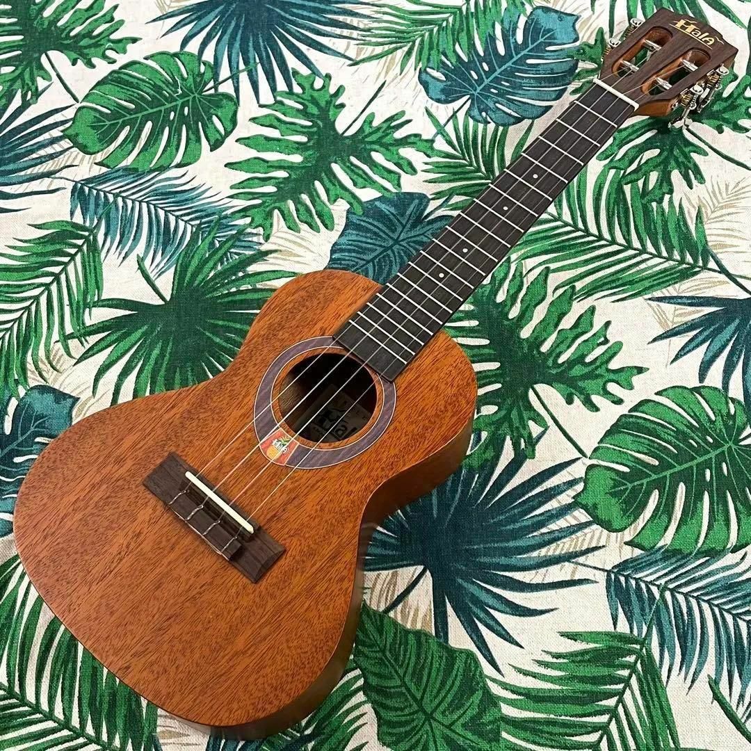 【Hala ukulele】マホガニー単板のエレキ・コンサートウクレレ 1