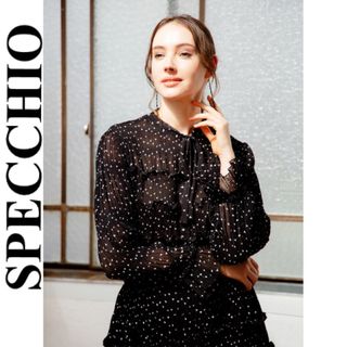 スペッチオ(SPECCHIO)のSPECCHIO☆クリスタルシャーリングプリーツシフォン　ブラウス(シャツ/ブラウス(長袖/七分))