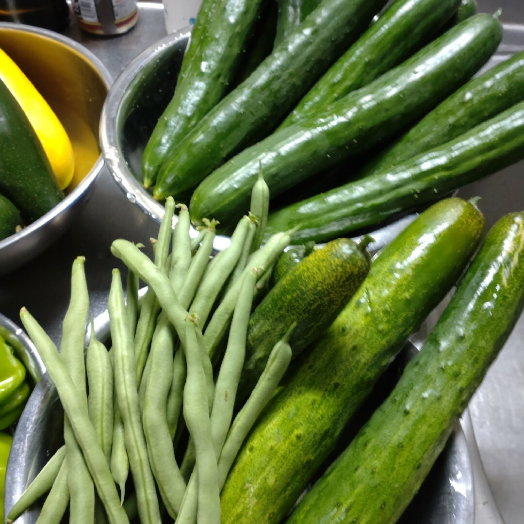 野菜詰め合わせセット　農薬不使用 食品/飲料/酒の食品(野菜)の商品写真