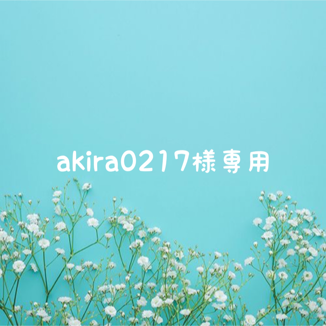 akira0217様専用 エンタメ/ホビーのDVD/ブルーレイ(アイドル)の商品写真