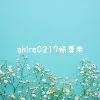 akira0217様専用(アイドル)