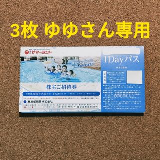 【専用】最新 東京都競馬 株主優待 東京サマーランド 1Dayパス 3枚(プール)