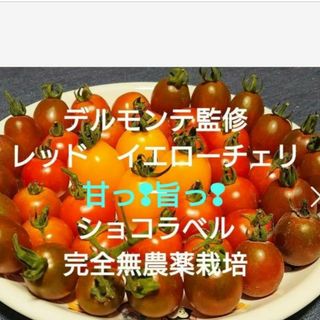 デルモンテ監修　レッド　イエローチェリーミニトマト　ショコラベル　完全無農薬栽培(野菜)