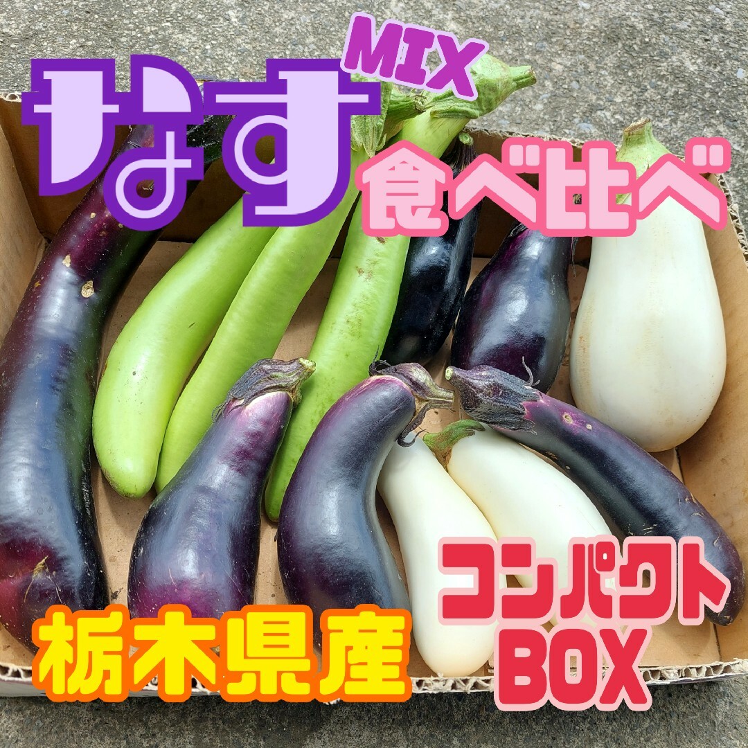数量限定‼️栃木県産　なすMIX　食べ比べ【コンパクトBOX】 食品/飲料/酒の食品(野菜)の商品写真
