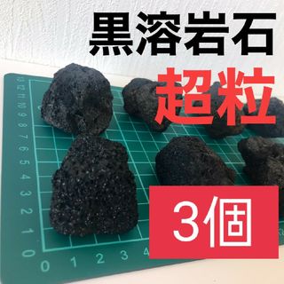 黒溶岩石 超粒3個 アクアリウム テラリウム コゲリウム 水草 ろ材 ADA(アクアリウム)