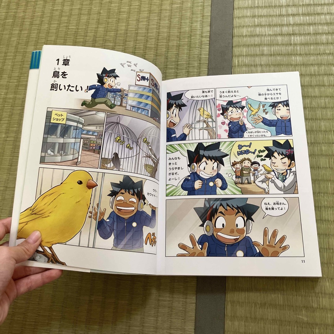 鳥のサバイバル 生き残り作戦 １　かがくるBOOK 科学漫画サバイバルシリーズ