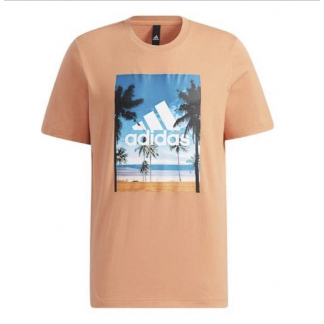 adidas(アディダス)のアディダス（adidas） Tシャツ サイズL メンズ 半袖 （メンズ） メンズのトップス(Tシャツ/カットソー(半袖/袖なし))の商品写真