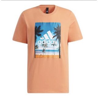 アディダス(adidas)のアディダス（adidas） Tシャツ サイズL メンズ 半袖 （メンズ）(Tシャツ/カットソー(半袖/袖なし))