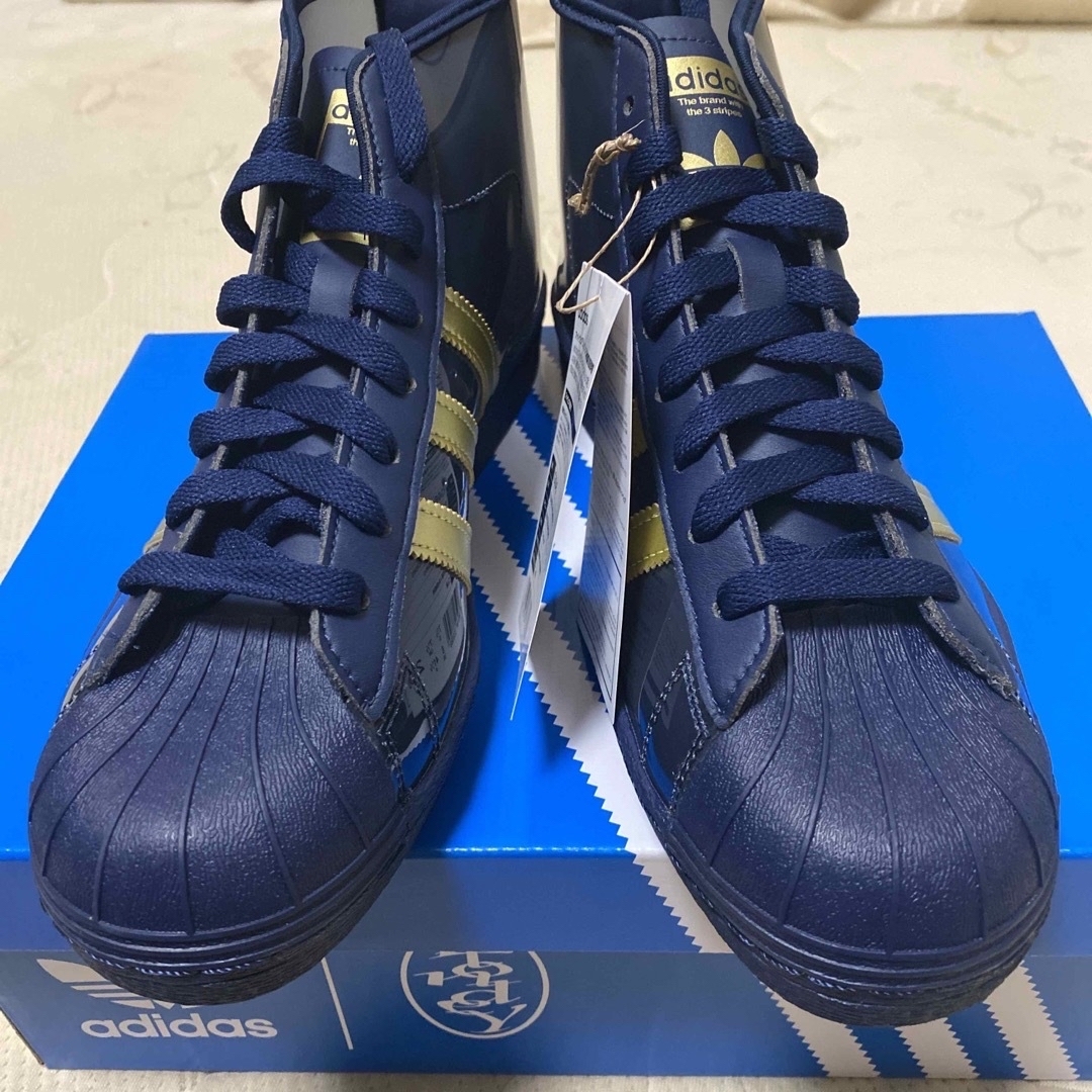 adidas ブロンディプロモデル