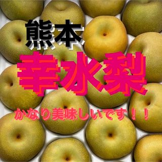 幸水梨　6から8玉　秀品　【熊本　梨】(フルーツ)