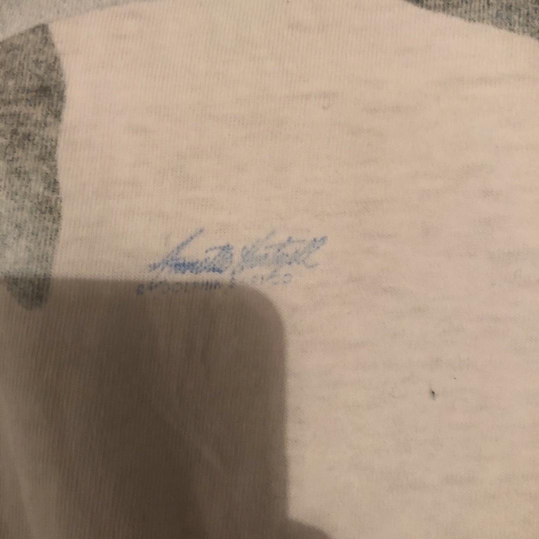 【90s】ヴィンテージ イルカ　tシャツ 2