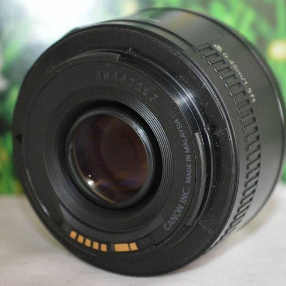 Canon EF 50mm F1.8 Ⅱ☆撮影の幅が広がる単焦点レンズ☆ www