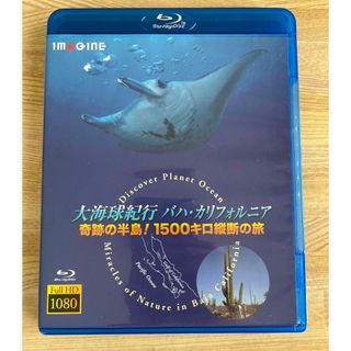 大海球紀行バハ・カリフォルニア　Blu-ray(その他)