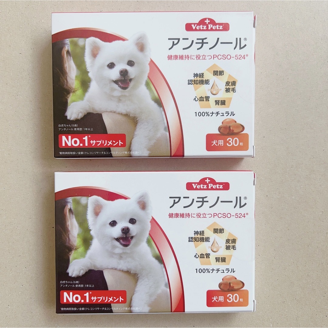 アンチノール　犬用　VetzPetz 30粒　2箱 | フリマアプリ ラクマ