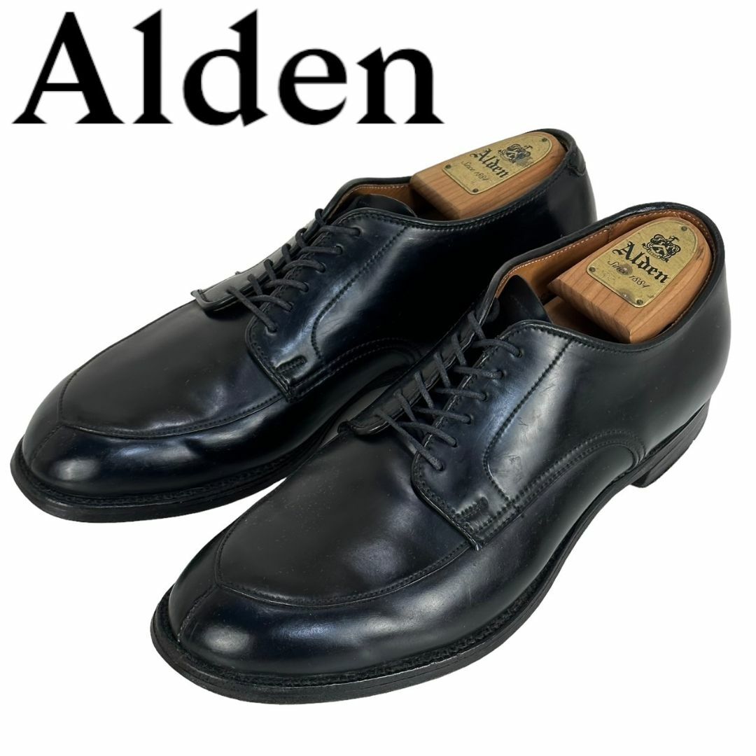 日本未発売　希少　Alden LEATHER SOUL別注　Vチップ　コードバン