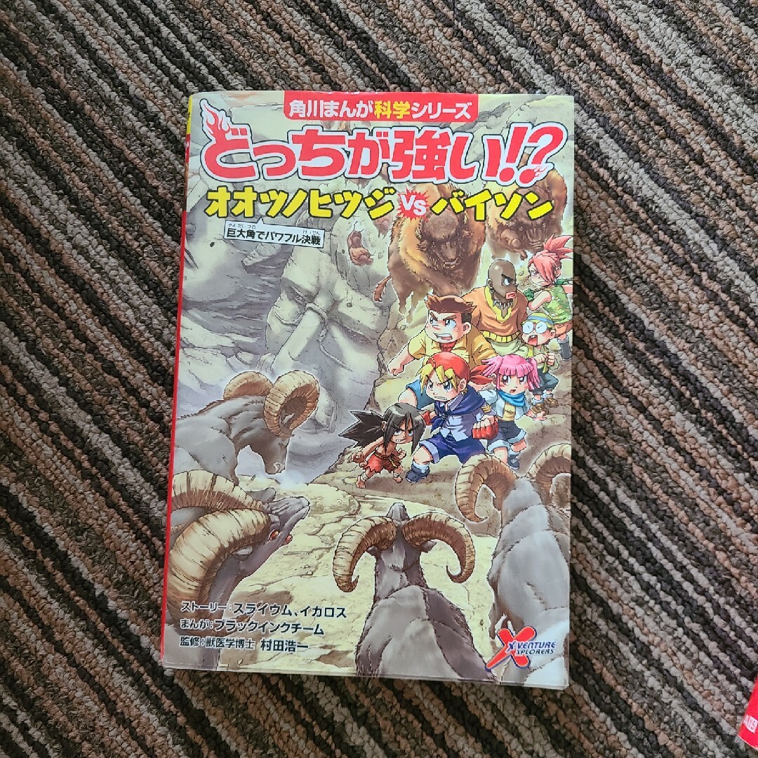 角川書店(カドカワショテン)のどっちが強い！？オオツノヒツジｖｓバイソン 巨大角でパワフル決戦 エンタメ/ホビーの本(絵本/児童書)の商品写真