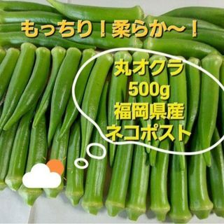 丸オクラ　500g以上　福岡県産(野菜)