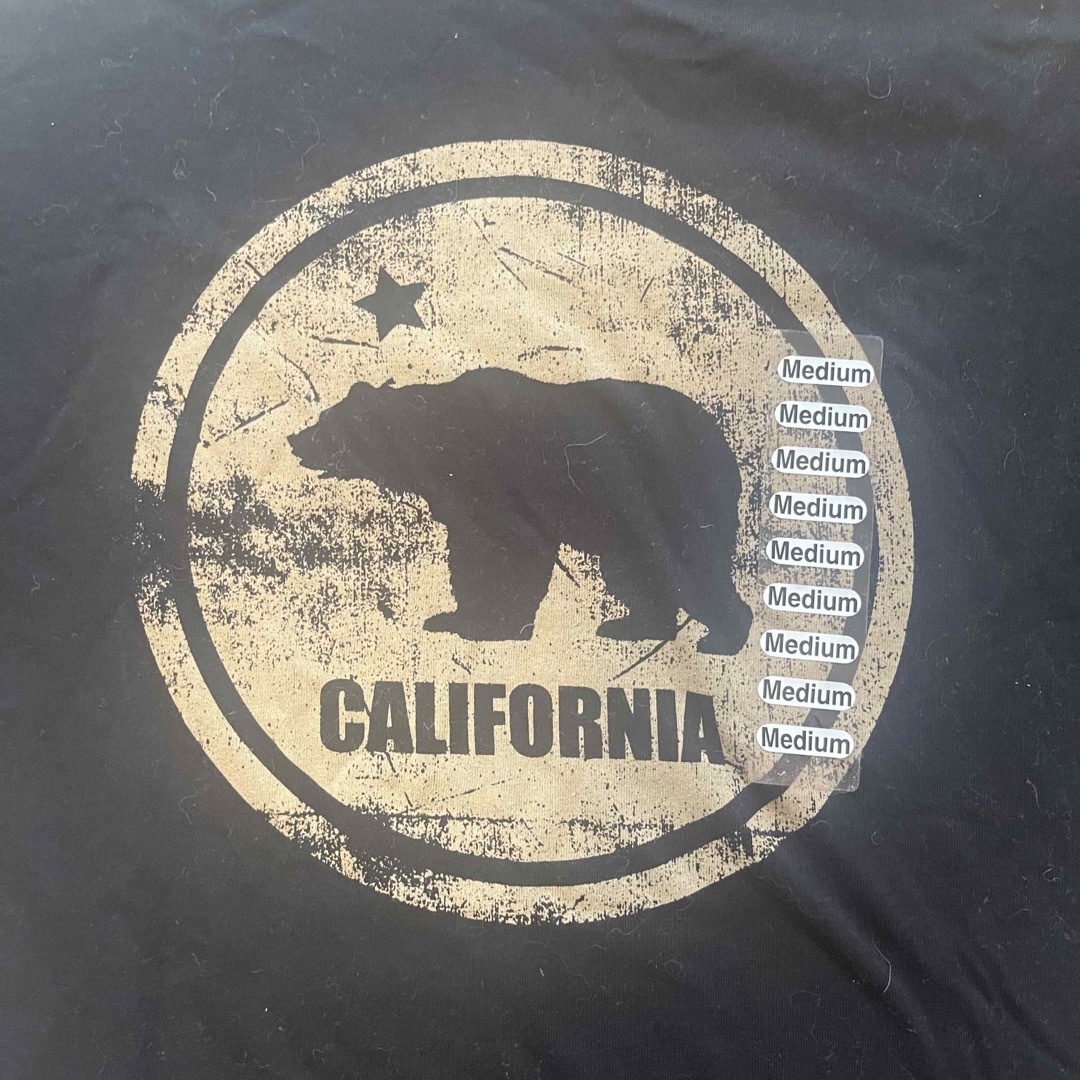 COLORS OF CALIFORNIA(カラーズオブカリフォルニア)の【新品】カリフォルニアTシャツ メンズのトップス(Tシャツ/カットソー(半袖/袖なし))の商品写真