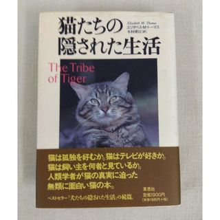 猫たちの隠された生活(住まい/暮らし/子育て)