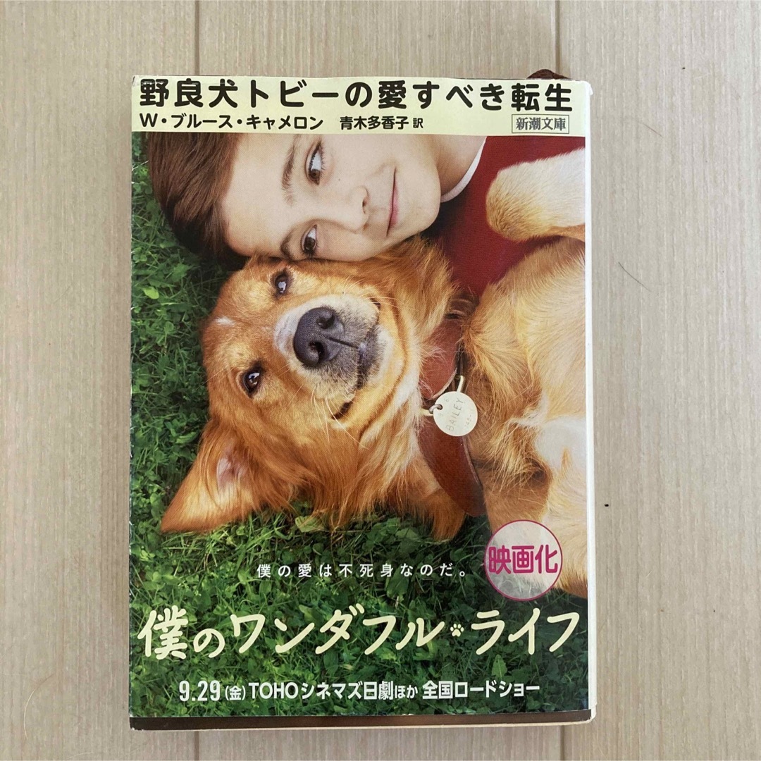 野良犬トビ－の愛すべき転生 エンタメ/ホビーの本(その他)の商品写真