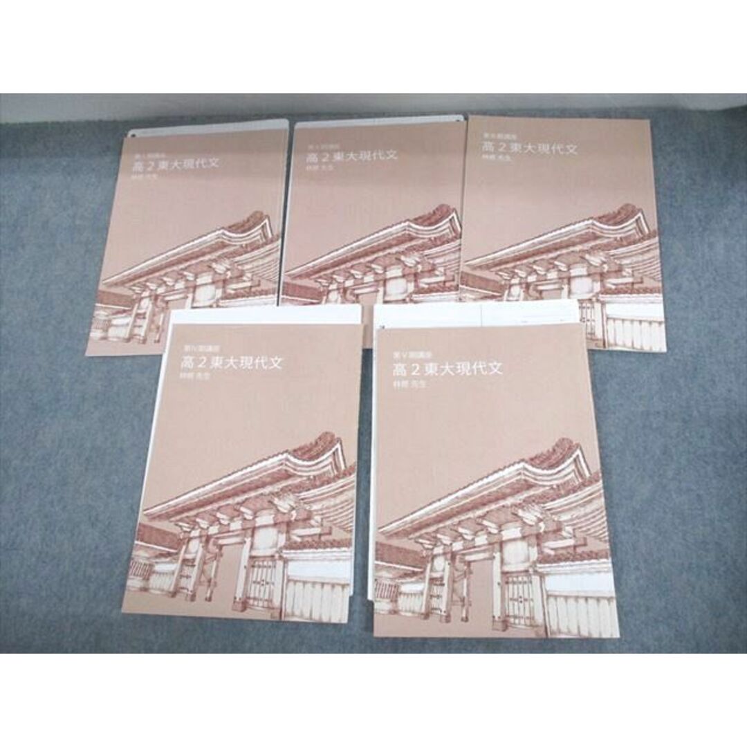 林修 東大特進コース 東大現代文 - 語学・辞書・学習参考書