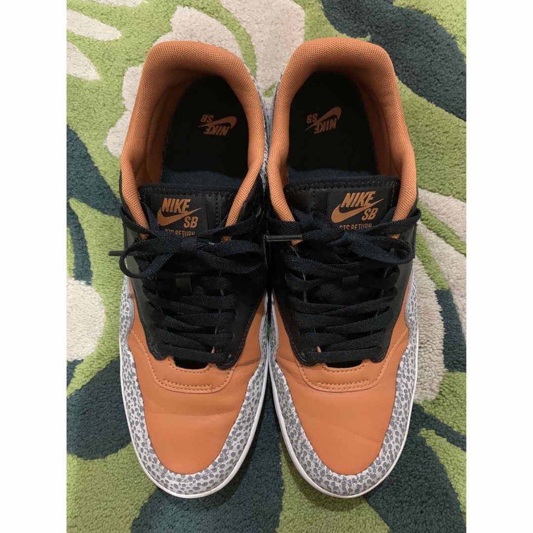 NIKESB US11