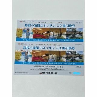 箱根小涌園 ユネッサン&元湯 森の湯 どちらも入れる入場券 ２枚(プール)