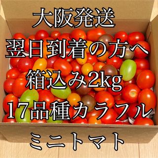 カラフルミニトマト　箱込み　2kg  17品種詰め合わせ(野菜)