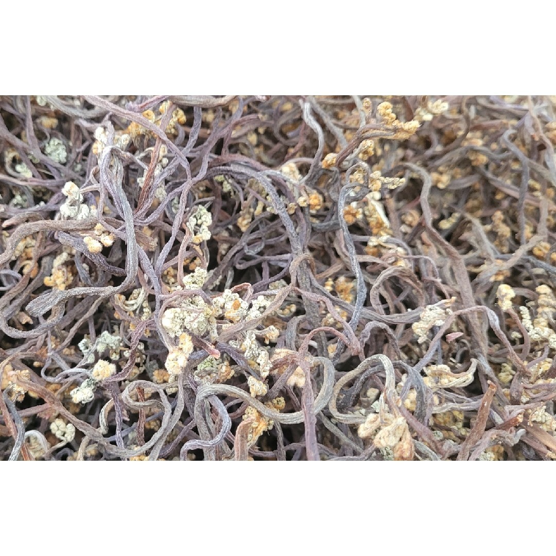 岩手県産 無農薬乾燥わらび 800gの通販 by syusyusugar's shop|ラクマ